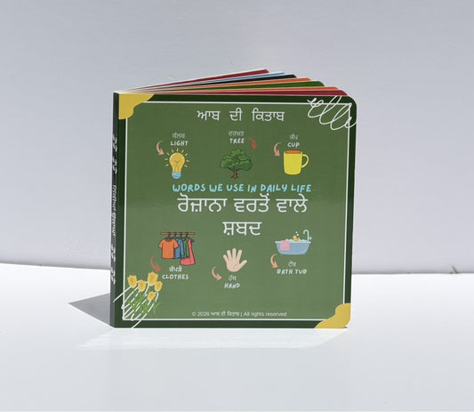 ਰੋਜ਼ਾਨਾ ਵਰਤੋਂ ਵਾਲੇ ਸ਼ਬਦ (Words we use in daily life)