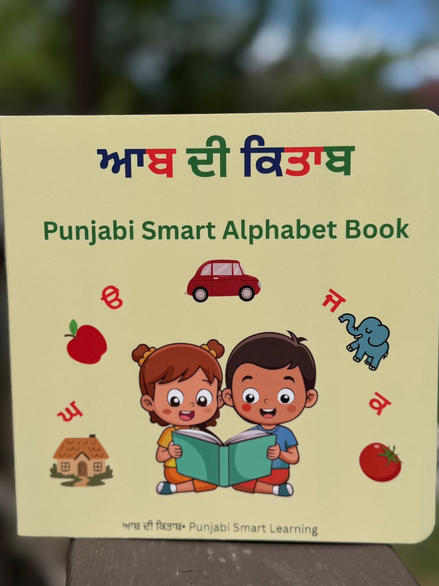 35 ਅੱਖਰੀ (Punjabi alphabets book)
